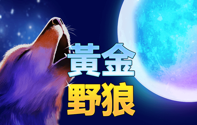 yw龙物国际